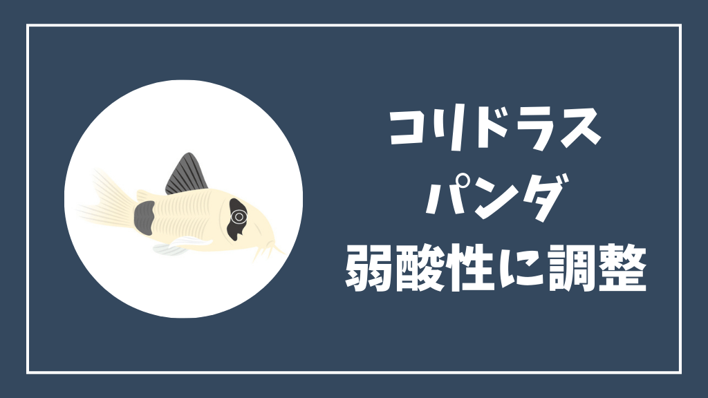 弱酸性の水質に調整する方法