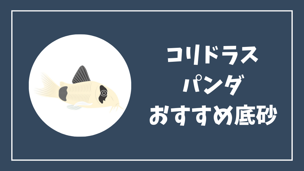 コリドラスパンダにおすすめの底砂